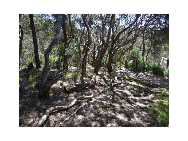 5 Harleian Street, Blairgowrie VIC 3942