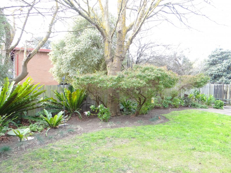 8 Lewana Street, Rye VIC 3941