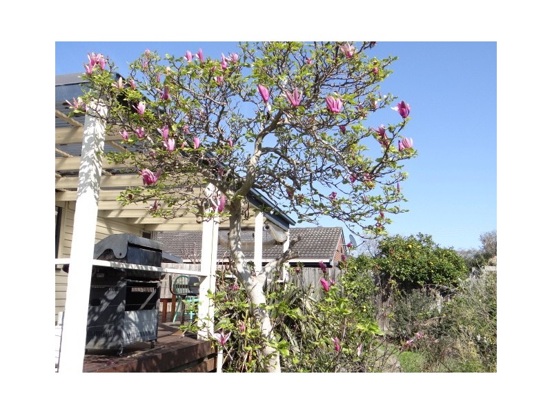 26 Braidwood Avenue, Rosebud VIC 3939