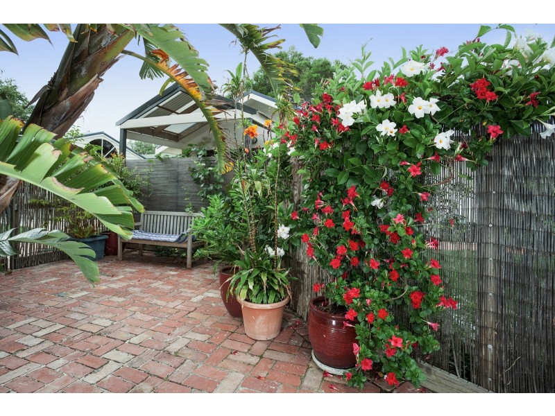 1 Marshall Street, Rye VIC 3941