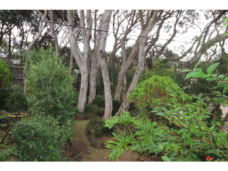 21 Reeves Street, Blairgowrie VIC 3942