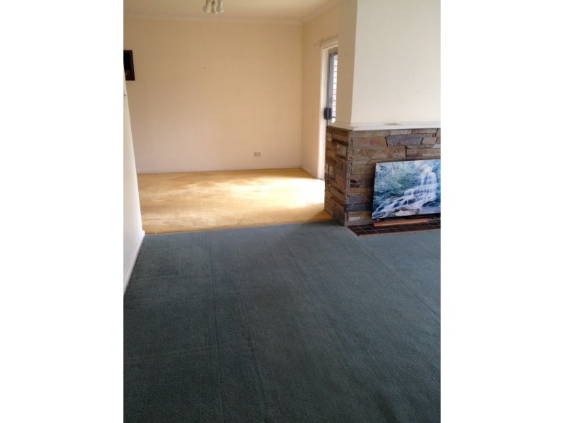 20 Barter Street, Forest Hill VIC 3131