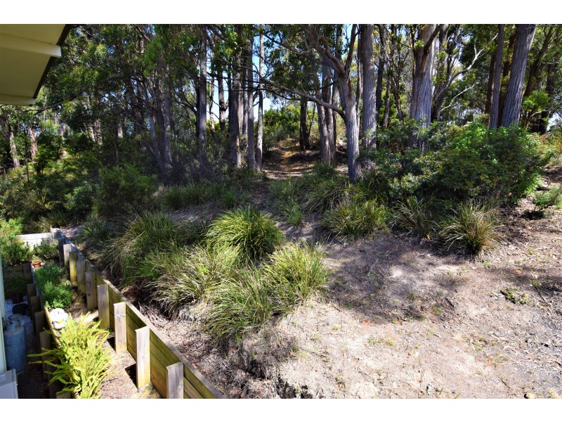 45 Falmouth, Somerset TAS 7322