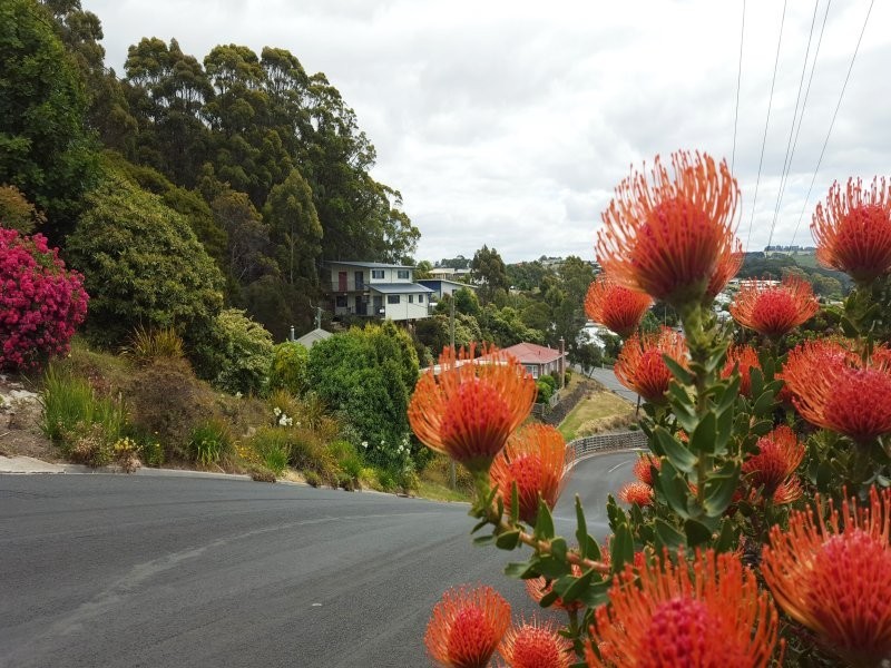 45 Falmouth, Somerset TAS 7322