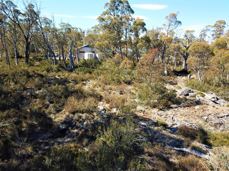 Lot 76,  Trout Crescent, Miena TAS 7030