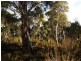 Lot 76,  Trout Crescent, Miena TAS 7030