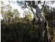 Lot 76,  Trout Crescent, Miena TAS 7030