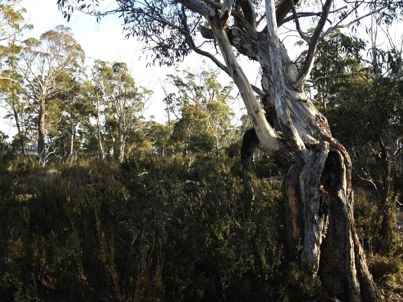 Lot 76,  Trout Crescent, Miena TAS 7030