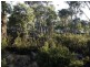 Lot 76,  Trout Crescent, Miena TAS 7030