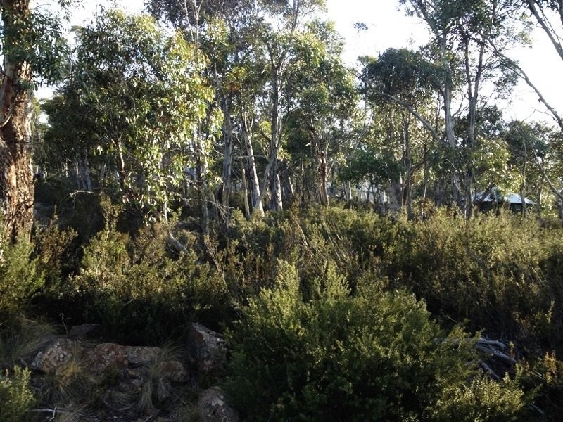 Lot 76,  Trout Crescent, Miena TAS 7030