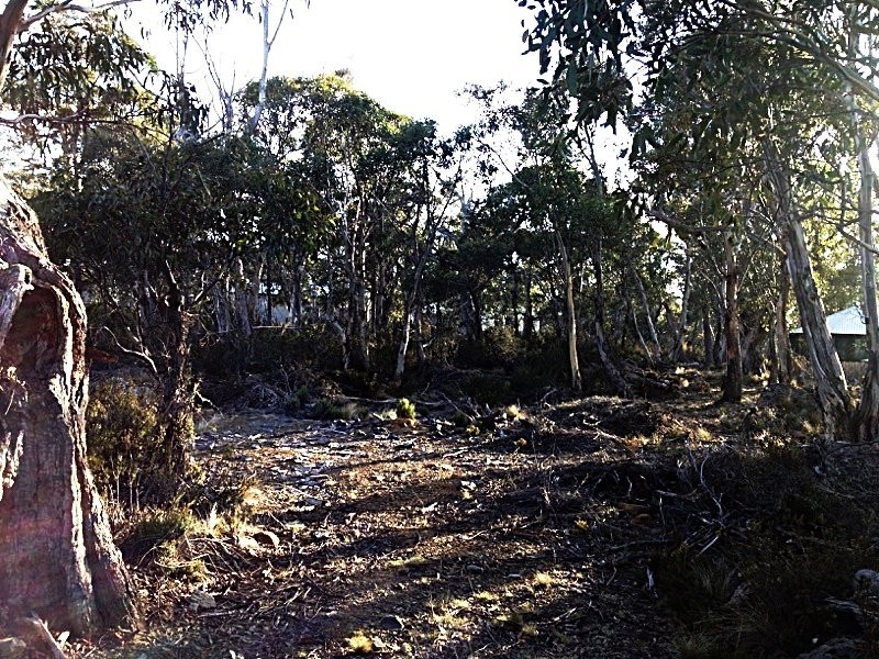 Lot 76,  Trout Crescent, Miena TAS 7030