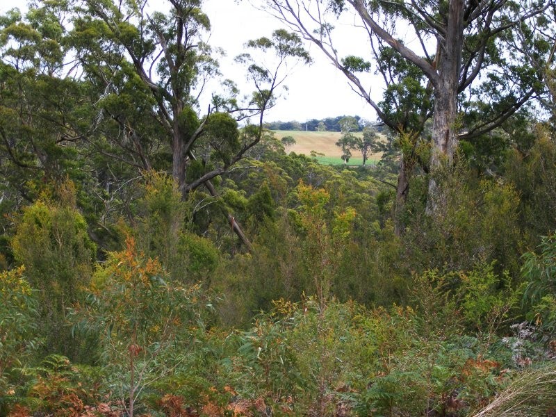 Lot 1, Devonshire Drive, Heybridge TAS 7316