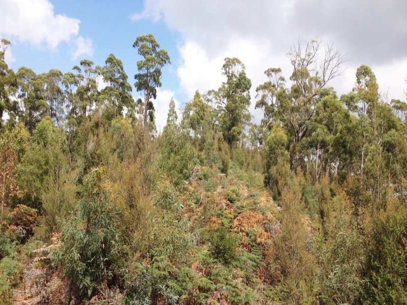 Lot 1, Devonshire Drive, Heybridge TAS 7316