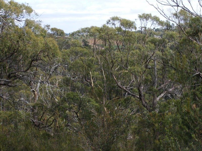 Lot 1, Devonshire Drive, Heybridge TAS 7316