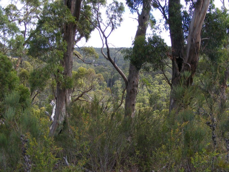 Lot 1, Devonshire Drive, Heybridge TAS 7316