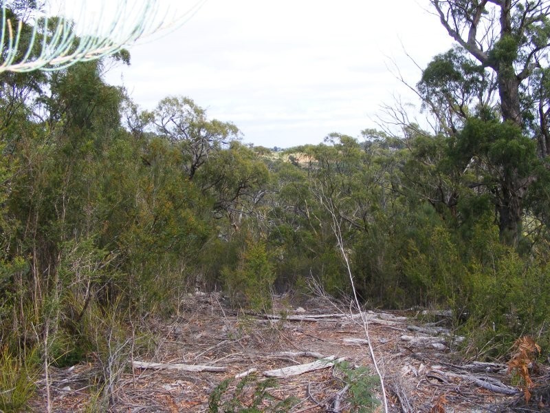 Lot 1, Devonshire Drive, Heybridge TAS 7316