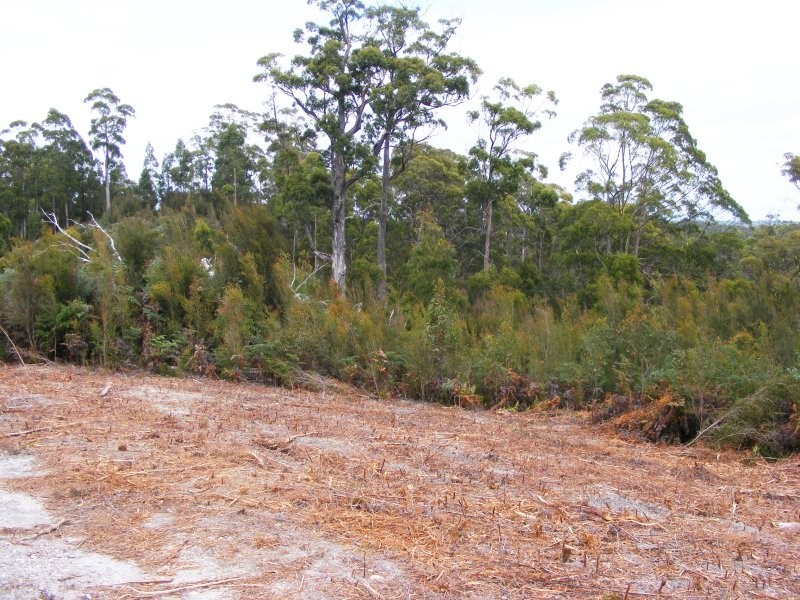 Lot 1, Devonshire Drive, Heybridge TAS 7316