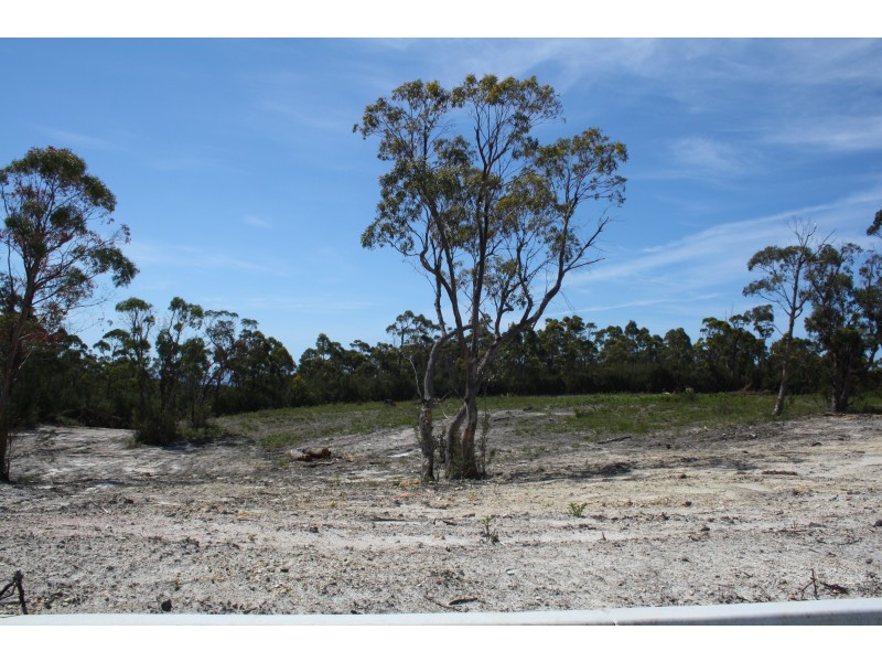 6 Prior Crescent, Heybridge TAS 7316