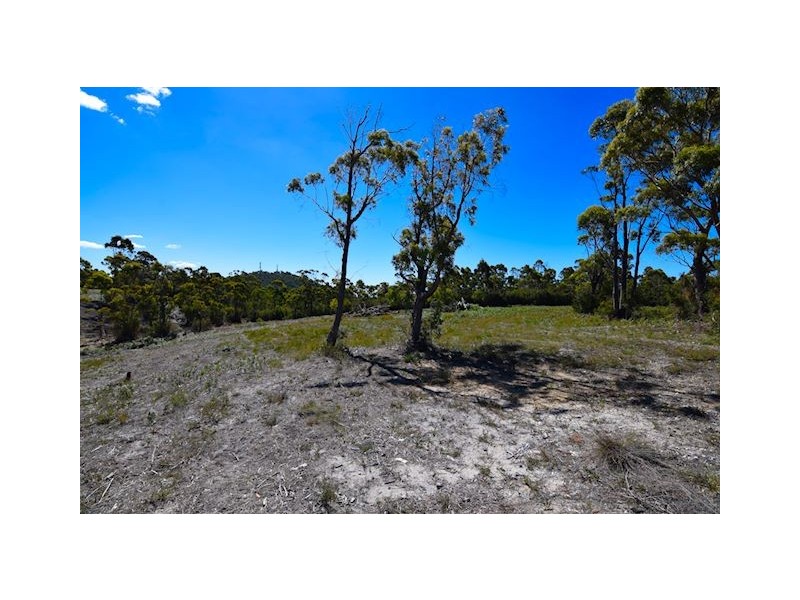 6 Prior Crescent, Heybridge TAS 7316