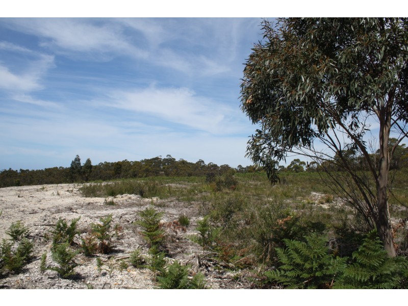 Lot 28,  Winforton Avenue, HEYBRIDGE, TASMANIA, 7316, Heybridge TAS 7316