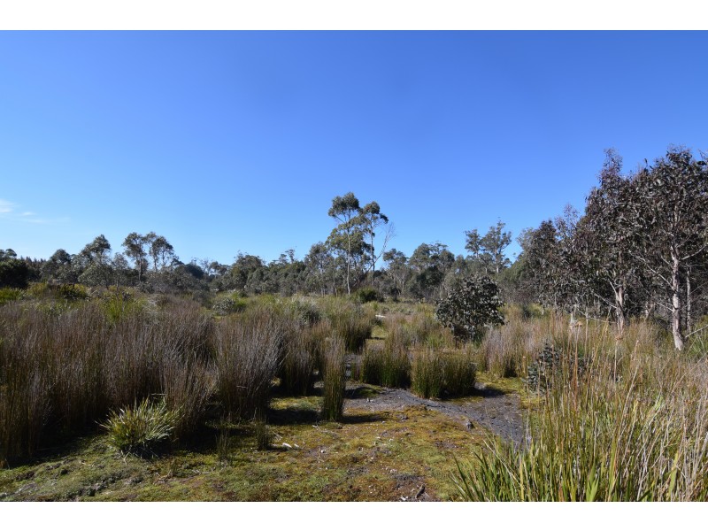 Lot 1,  Waratah Road/Champion Heath, Waratah TAS 7321