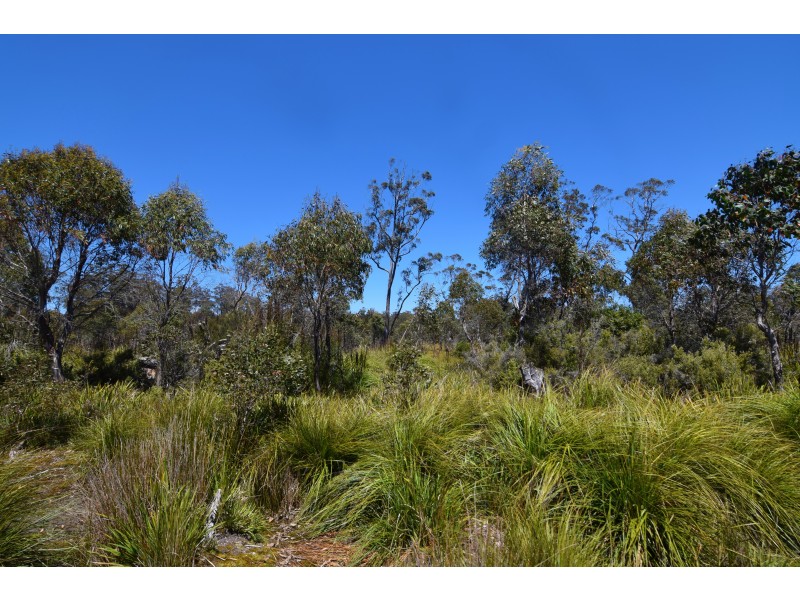 Lot 1,  Waratah Road/Champion Heath, Waratah TAS 7321