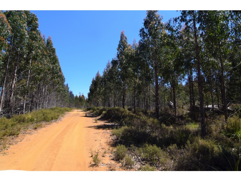 Lot 1,  Waratah Road/Champion Heath, Waratah TAS 7321