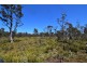 Lot 1,  Waratah Road/Champion Heath, Waratah TAS 7321
