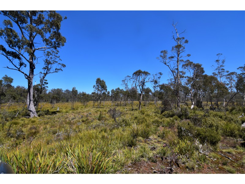 Lot 1,  Waratah Road/Champion Heath, Waratah TAS 7321