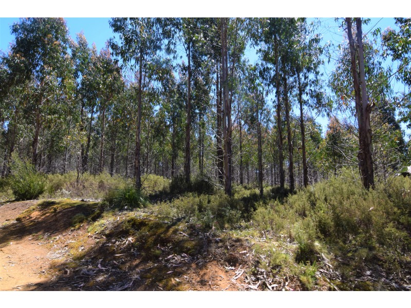 Lot 1,  Waratah Road/Champion Heath, Waratah TAS 7321