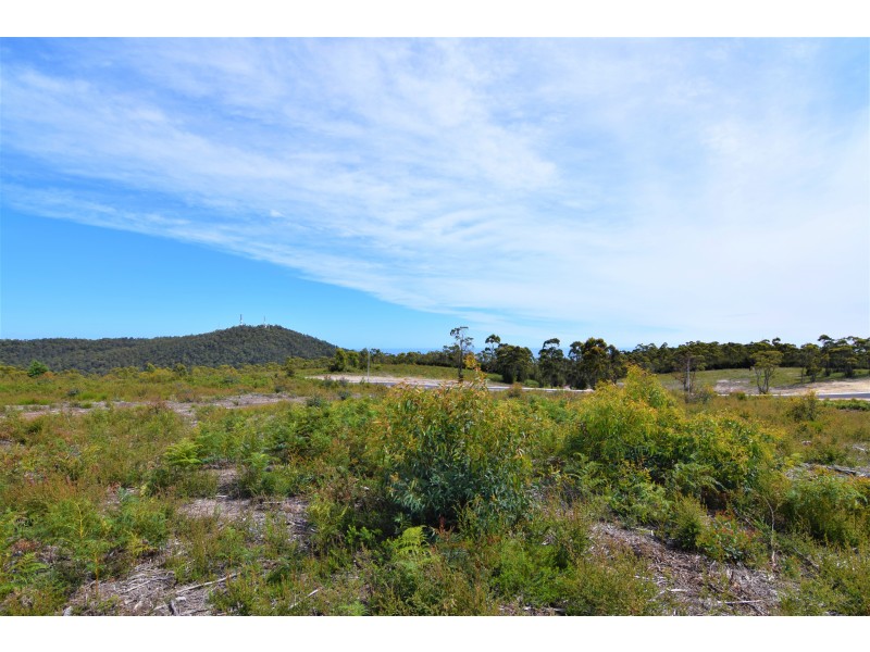 7 Winforton Avenue, Heybridge TAS 7316