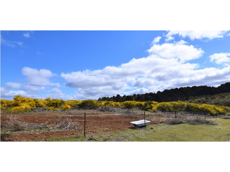 45 William Street, Waratah TAS 7321
