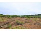 45 William Street, Waratah TAS 7321