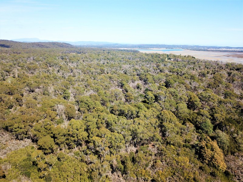 62 Marana Drive, Bakers Beach TAS 7307