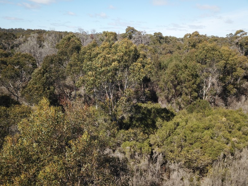 62 Marana Drive, Bakers Beach TAS 7307