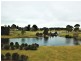 6 Smith Street, Waratah TAS 7321