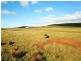 10 Bills Road, Henrietta TAS 7325