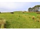 10 Bills Road, Henrietta TAS 7325