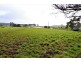 10 Bills Road, Henrietta TAS 7325