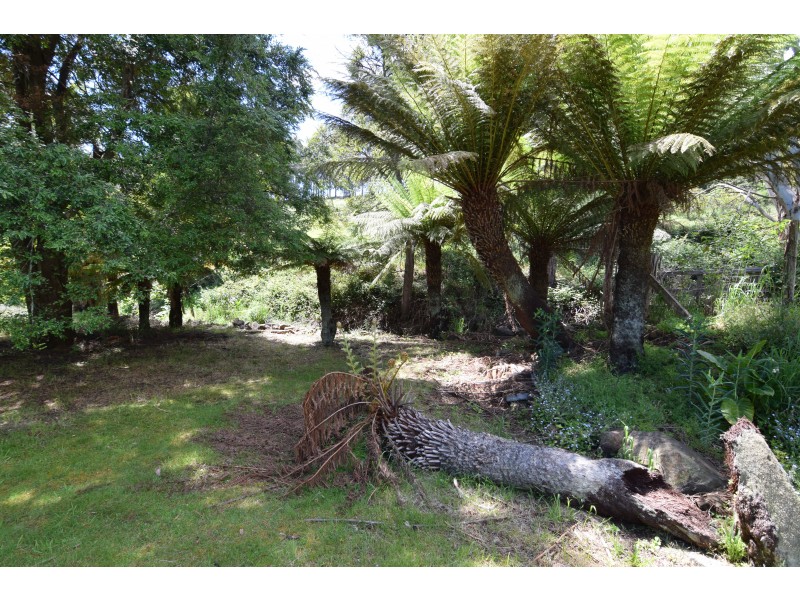 41-43 Swanston Street, Brooklyn TAS 7320