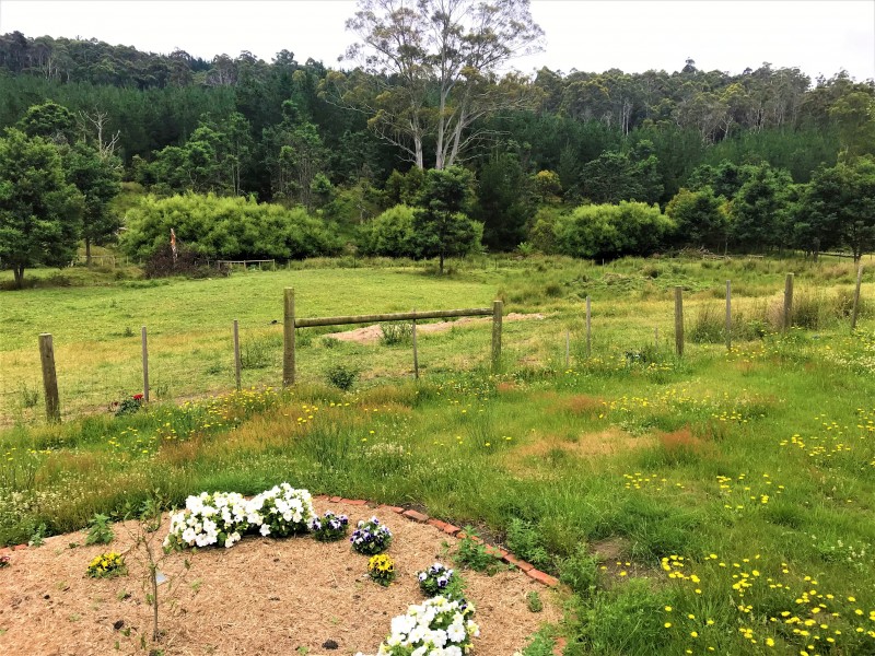 510 Lower Beulah Road, Lower Beulah TAS 7306