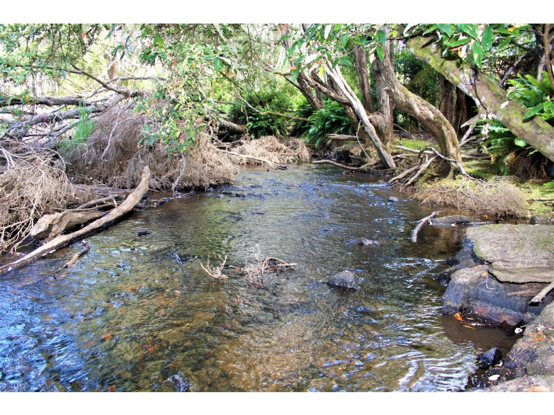 3 Chromys Road, Takone TAS 7325