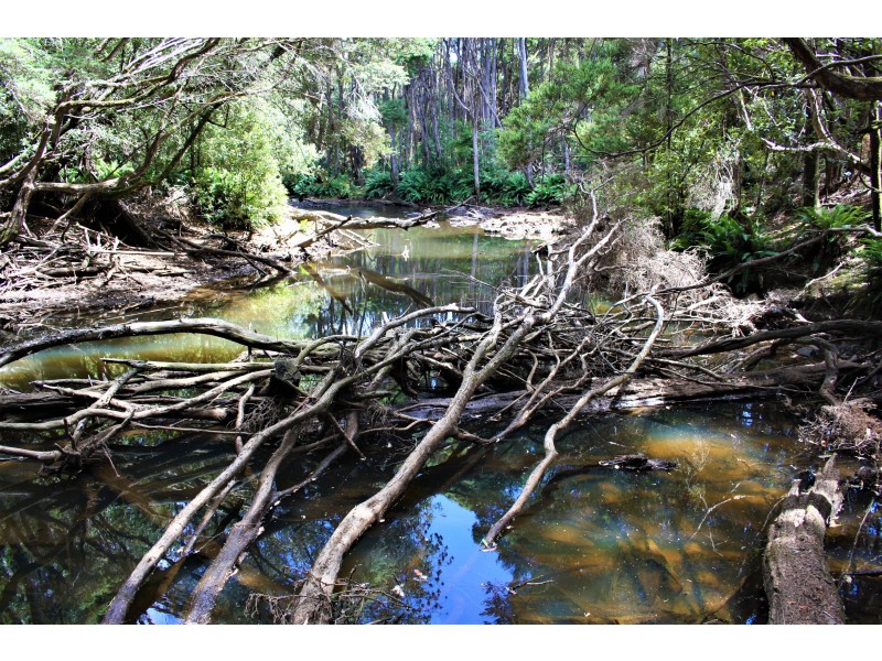 3 Chromys Road, Takone TAS 7325