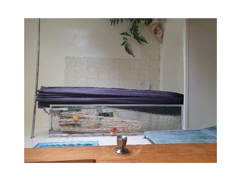 8A Austral Street, Zeehan TAS 7469