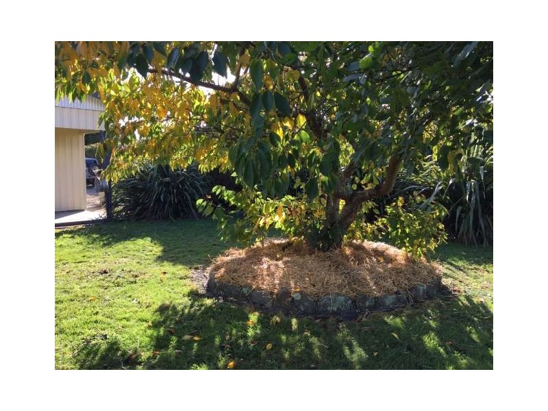 16 Scotchtown Road, Smithton TAS 7330