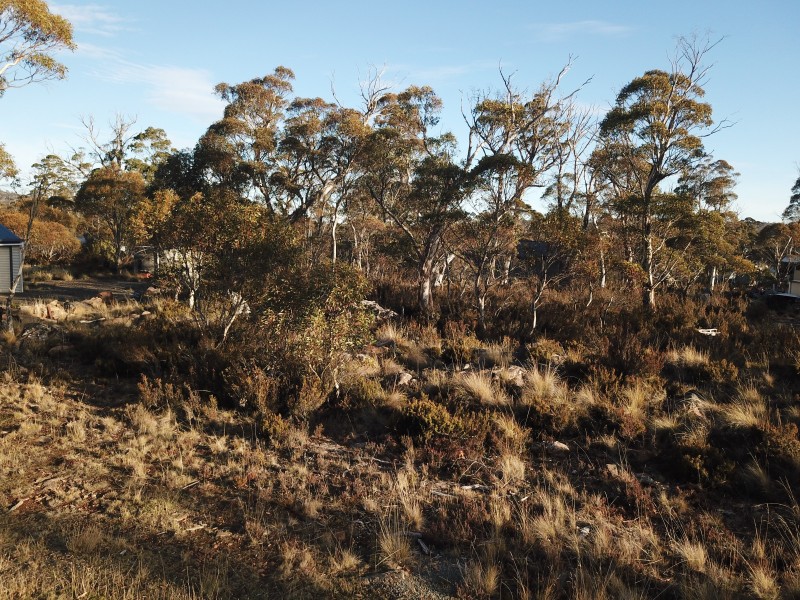 4 Trout Crescent, Miena TAS 7030