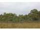 1 Reid Street, Strahan TAS 7468