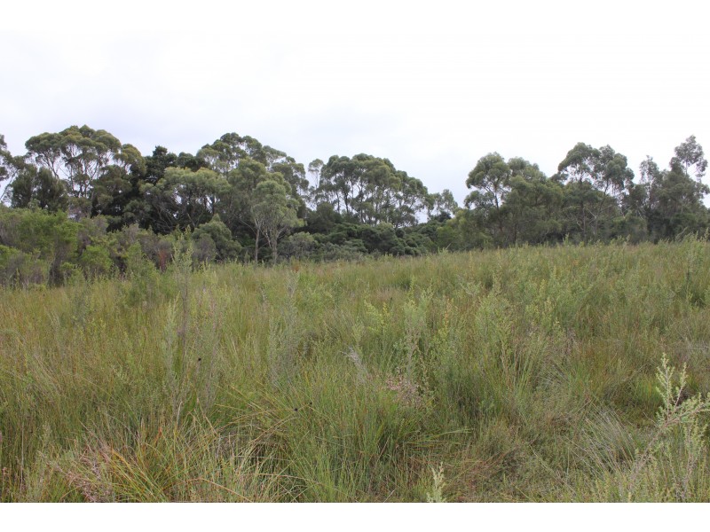 1 Reid Street, Strahan TAS 7468