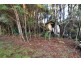 1224 Preolenna Road, Moorleah TAS 7325