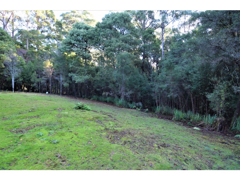 1224 Preolenna Road, Moorleah TAS 7325